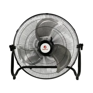Electric Fan
