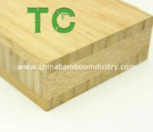 Bamboo Countertop
