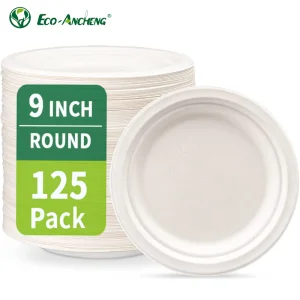 Compostable Sugarcane Plate