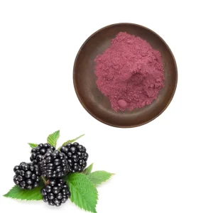 Spray Dried Blackberry Fruit Powder