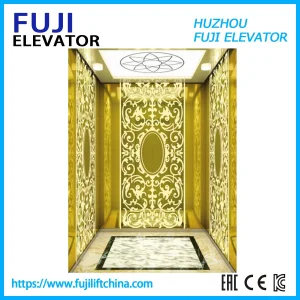 General Passenger Elevator with Professional Service for Modern Building with Manufacture