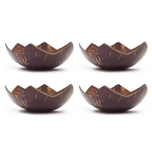 Handmade Bamboo Bowl Disposable for Vegan Smoothies Organic Plant Based Meals Party Sustainable Living