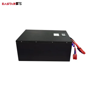 48V Battery Pack