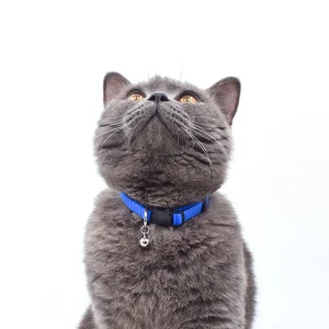 Wholesale Cat Collar