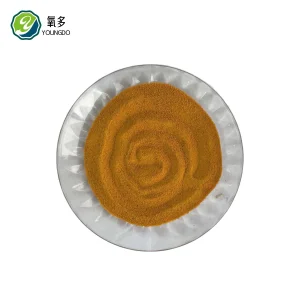 60% Protein Corn Gluten Meal for Pet Food Production