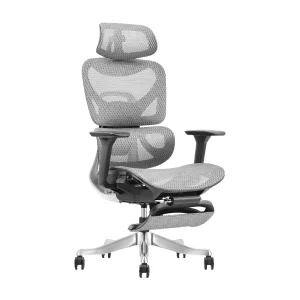 Ergonomic Lumbar Support