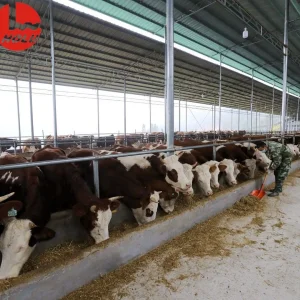 Premium Steel Cattle Sheds Top Grade Materials, Tailor Made Solutions