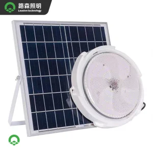 Elegant Garden Lights