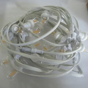 G45 LED Bulb Warm White IP65