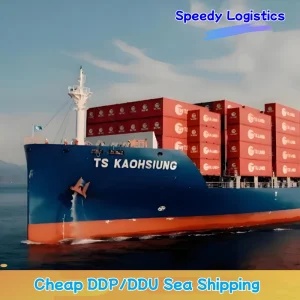 Sea Freight Forwarder Shipping Container to Nigeria, Dubai, Saudi Arabia, Bahrain, Turkey, Albania, Armenia, Azerbaijan, Belarus Logistics Service