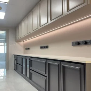 Elegant Customized Kitchen Cabinet Foshan Furniture Home Style Modern Wall Tiles