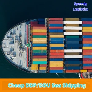Door to Door Shipping From China to Germany, USA by Sea DDP Service