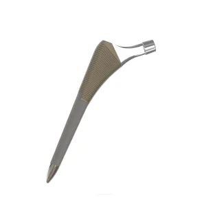 T Femoral Stems Prothesis Artificial Hip Joint