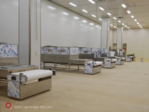 Máquina Automática de Secagem e Esterilização de Pão por Micro-ondas, Secador Elétrico de Ar para Alimentos, Equipamento de Secagem por Micro-ondas