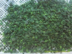 Espinacas picadas IQF a bajo precio de proveedor experimentado