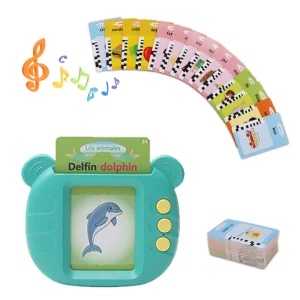 Multi-Language Talking English Flash Card Machine