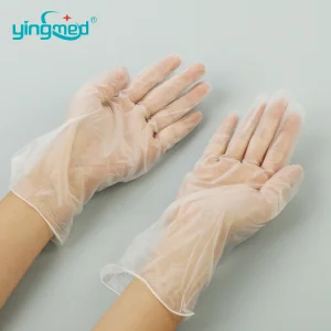 Disposable Clear Vinyl/PVC Gloves Powdered/No Powder Beauty Food Gloves