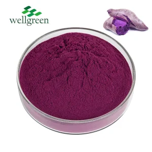 Polvo de batata morada orgánica, ingrediente para alimentos y bebidas