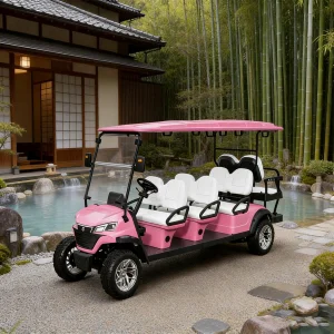 WOLAN DOT Certified Electric Golf Cart 8 Seater Utility Vehicle with Lift for Hunting Golf Cart