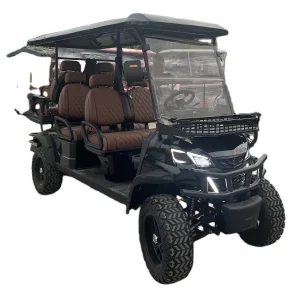 Mini Luxury Electric Golf Cart