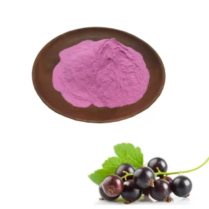 Black Currant Powder