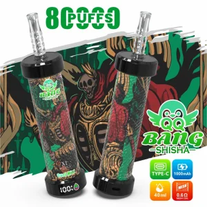 Hookah Flavors Disposable Vape 80000 Puffs