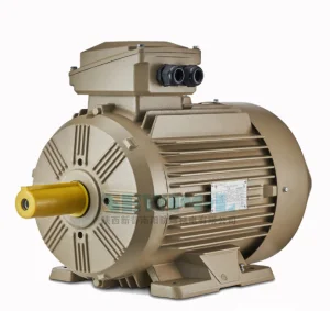 Wolong Nanyang YE4 series AC motor