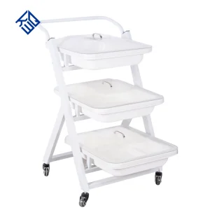 Medical Endoscopy Trolley