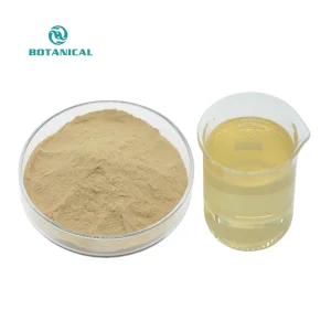 BCI Supply Hot SaleGinger Root Extract Ginger Drink Powder Water Soluble