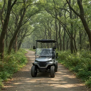 Smart-Connect Electric Golf Vehicle