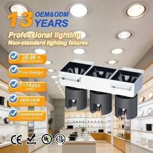 Indoor COB Recessed Ceiling Spotlight Small Hill Effect High CRI Wall Washer Living Room Lighting Wholesale