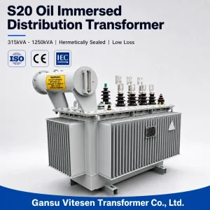S20 Oil Immersed