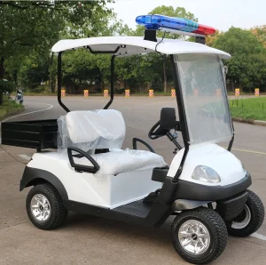 High-Efficiency Electric Security Golf Cart with Cargo Box, Designed for Patrol and Logistics Operations