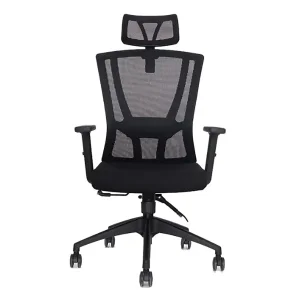 High Back Ergonomic Executive Mesh Swivel Office Chair with Neck Pillow