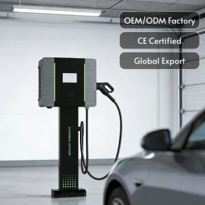 Smart 40kw Double-Ports DC EV Charging Station with Ethernet and APP Monitoring