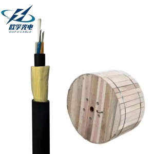Aerial Self-Supporting FTTH