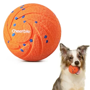 Shenzhen Sustainable Interactive Plastic Exercise Ball