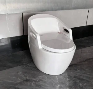 Floor Standing Mounted Intelligent Smart Toilet with Handrails for Elderly/Disabled People