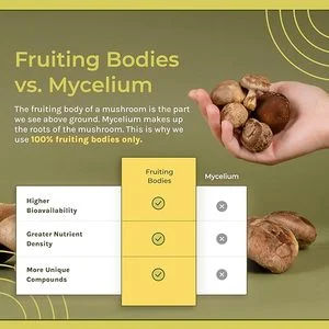 Dog Mushroom Supplement Chews