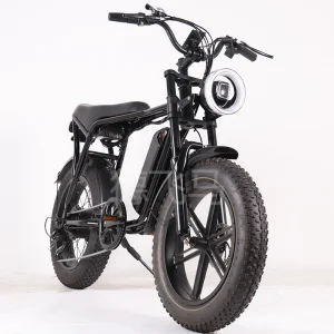 Luxury Electric Fat Tyre Dirt Road Beach Moped Bike E Bike Bicycle