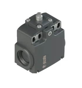 Pizzato Position Switch