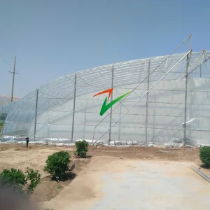 Single Span Film Solar Greenhouse Air Wall Greenhouse with Intelligent/Shading/Irrigation System for Plant Heat Preservation and Shading
