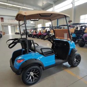 Mini Golf Carts for Adults 2 Seats 2 Passenger Street Legal Utility Vehicle Electric for Personal Use Golf Course Hunting Club