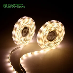 IP44 LED Strip