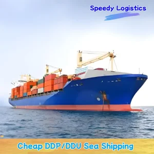 Sea Cargo Shipping Agent Freight Forwarder Agent to Malaysia, Singapore, Thailand, Vietnam, Germany, UK International Shipping Company Logistics Service