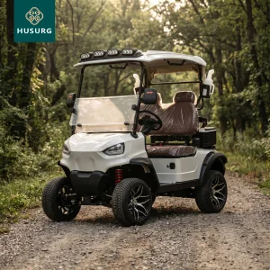 HuSurg EEC Certified 8-Seater Electric Golf Cart 4250x1200x1950mm Dimensions 30km/h Speed Spacious Design