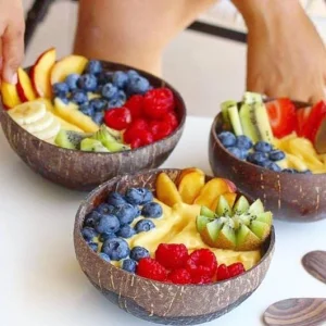 Bohemian Coconut Shell Bowl Set