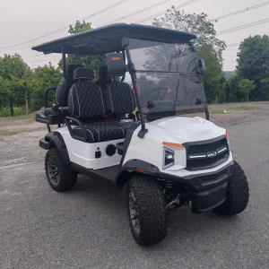 Carrito de Golf Eléctrico de Alta Seguridad 2+2 Asientos Sistema de Frenado Confiable