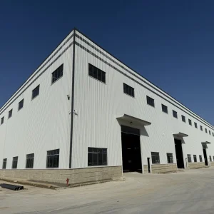 High-Quality Steel Structure Plant with Customizable Design Options