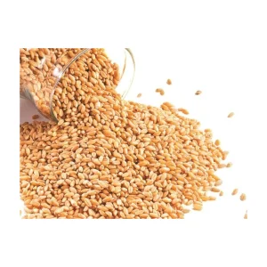 Bulk Selling Pure Protein Best Quality Organic Natural Wheat Bran Ready for Animals Feeds 1st Grade